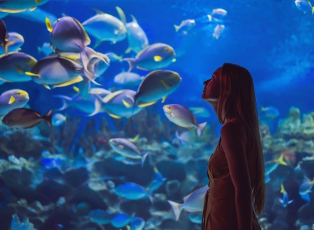 Oregon Coast Aquarium