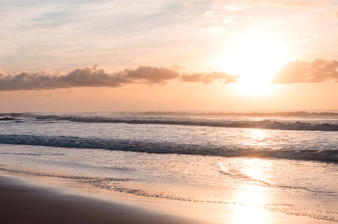 Coastal Splendor